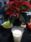 Sample 1 – Eggnog