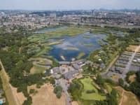 Sample 5 – Wetland