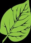 Sample of Leaf