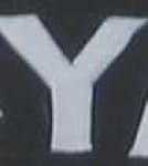 Sample 2 – Y capital letter
