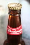 Sample 5 – Beer bottle