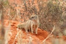 Sample 5 – Mongoose