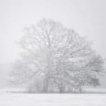 Sample 4 – Blizzard