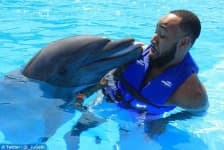 Sample 5 – Dolphin
