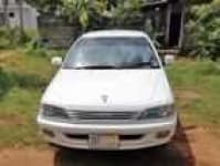 Sample 15 – Carina car