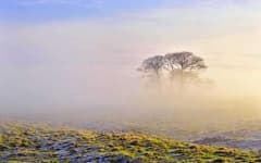 Sample 4 – Foggy