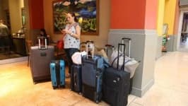 Sample 3 – Suitcase