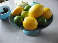 Sample 6 – Lemon