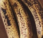 Sample 5 – Freckled