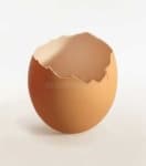Sample 4 – Egg shell