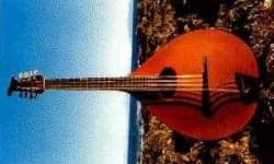 Sample 4 – Mandolin