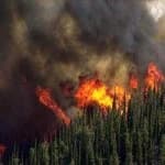 Sample 4 – Wildfire