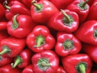 Sample 1 – Paprika