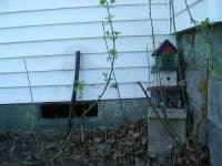 Sample 5 – Birdhouse