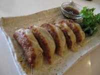 Sample 4 – Gyoza