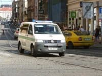 Sample 5 – Police van