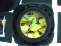 Sample 6 – Loupe