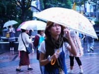 Sample 2 – Umbrella