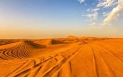 Sample 1 – Desert