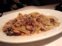 Sample 5 – Ravioli