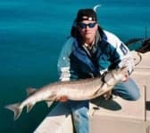 Sample 6 – Sturgeon