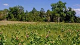 Sample 2 – Prairie