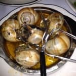 Sample 6 – Escargots