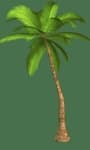 Sample 3 – Palm tree