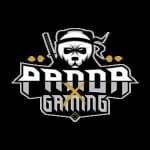 Sample 4 – Panda
