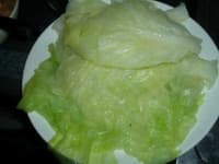 Sample 2 – Head cabbage