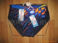 Sample 1 – Swimming trunks