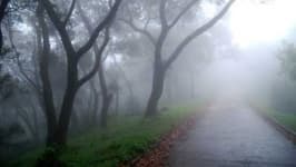 Sample 2 – Foggy
