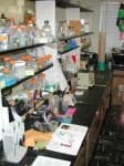 Sample 6 – Laboratorywet