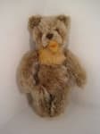 Sample 5 – Teddy