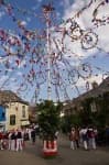 Sample 3 – Maypole