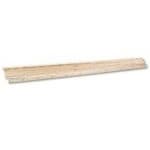 Sample 18 – Ruler