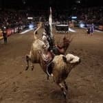 Sample 1 – Bull riding
