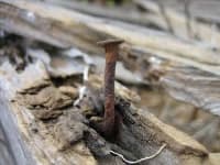 Sample 4 – Nail