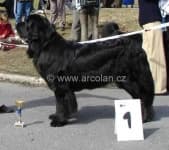 Sample 4 – Newfoundland
