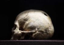 Sample 5 – Skull