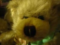 Sample 4 – Teddy
