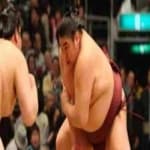 Sample 1 – Sumo wrestling