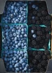 Sample 1 – Blueberry