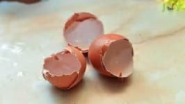 Sample 6 – Egg shell