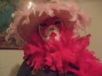 Sample 2 – Feather boa