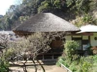 Sample 5 – Thatch