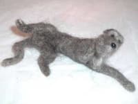 Sample 6 – Scottish deerhound