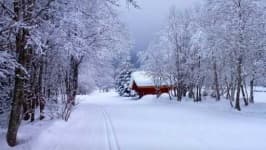 Sample 2 – Snowy