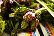 Sample 3 – Artichoke
