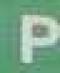 Sample 2 – P capital letter